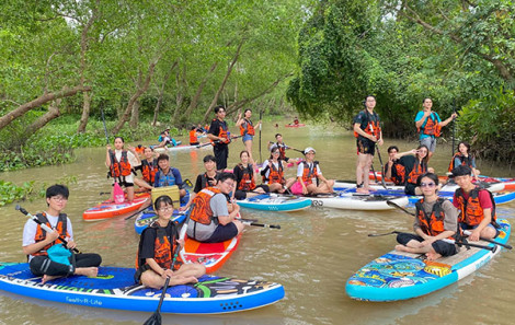 Khởi nghiệp từ môn thể thao chèo ván đứng