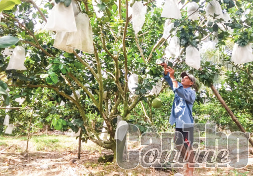 Đồng lòng xây dựng xã nông thôn mới nâng cao Xuân Thắng