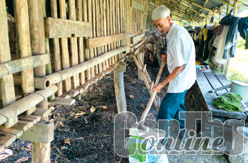 Lợi ích từ chăn nuôi theo mô hình kinh tế tuần hoàn