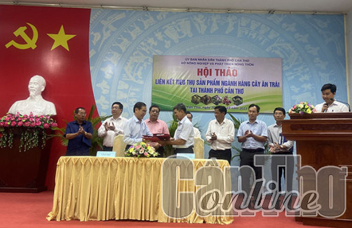 Liên kết tiêu thụ sản phẩm ngành hàng cây ăn trái TP Cần Thơ