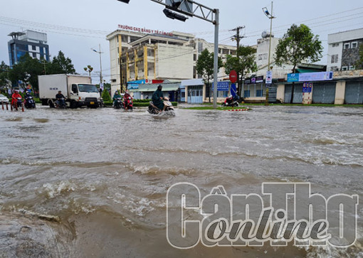 Ninh Kiều tăng cường công tác phòng, chống, ứng cứu thiệt hại do thiên tai