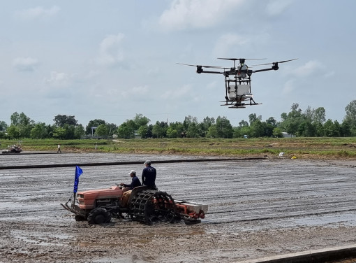 Trình diễn thực địa về cơ giới hóa gieo sạ chính xác