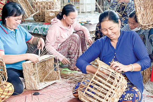 Câu chuyện đầm lầy<br>Bài 1: Cuộc đời mới của năn tượng</br>
