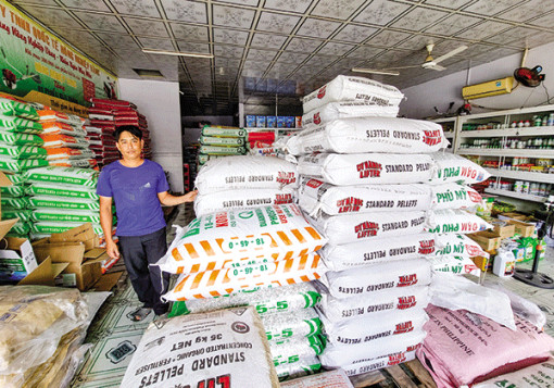 Nông dân mong giá phân bón giảm thêm nữa!