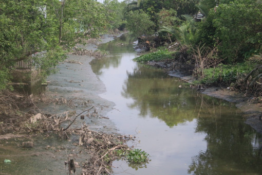 Chủ động ứng phó khô hạn, xâm nhập mặn