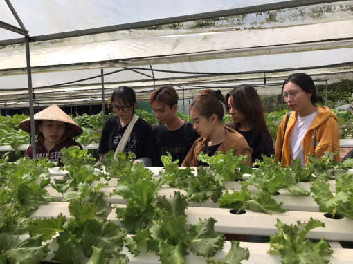 Triển khai cuộc thi “Dự án khởi nghiệp thanh niên nông thôn” năm 2023