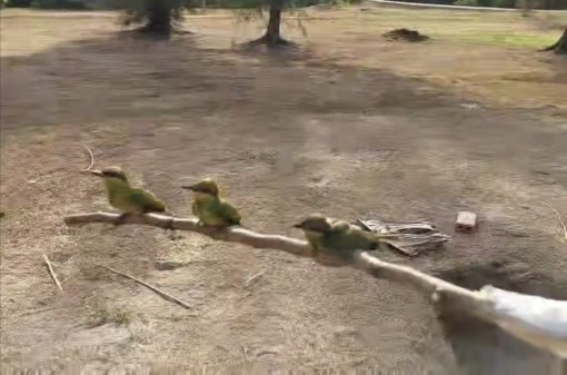 Dàn dựng nhưng đừng “quá liều”!