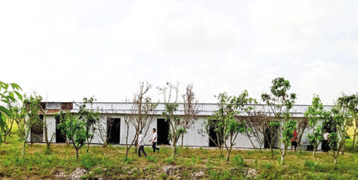 Trồng cây, cất nhà mới trong phạm vi thực hiện dự án đường cao tốc