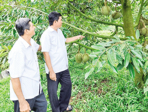 Cần xây dựng hợp tác xã mạnh