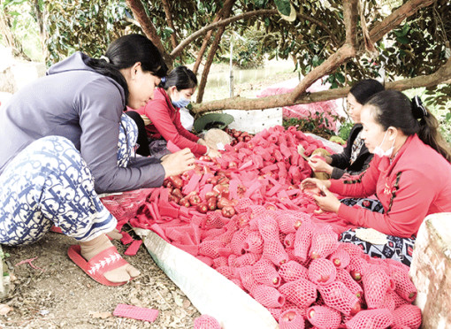 Hỗ trợ nâng cao chất lượng đời sống