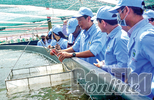 Giữ gìn hệ sinh thái tự nhiên, lan tỏa giá trị cộng đồng