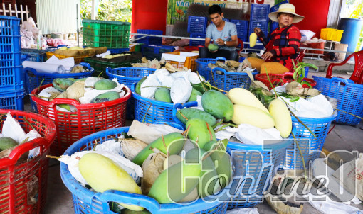 Dạo quanh thị trường