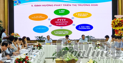 Thúc đẩy nâng cao giá trị và phát triển bền vững ngành hàng xoài