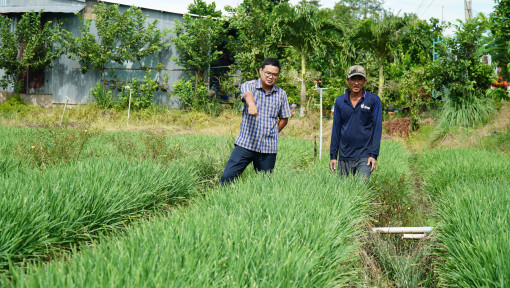 Nhiều giải pháp thúc đẩy kinh tế phát triển, nâng cao đời sống nhân dân