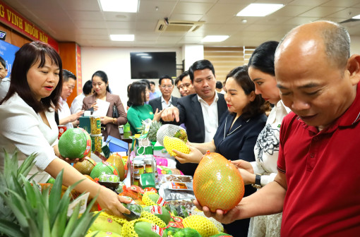 Kết nối thương mại - dịch vụ TP Cần Thơ - tỉnh Quảng Ninh