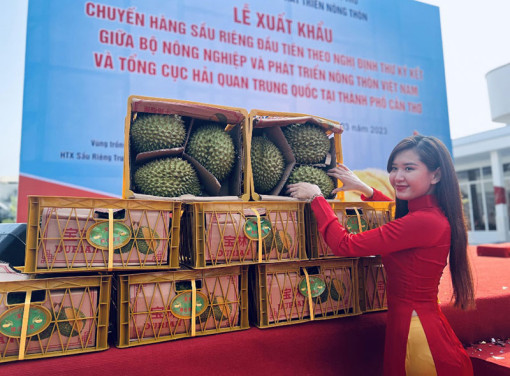 Kim ngạch xuất nhập khẩu 4 tháng giảm, Việt Nam xuất siêu 6,35 tỉ USD