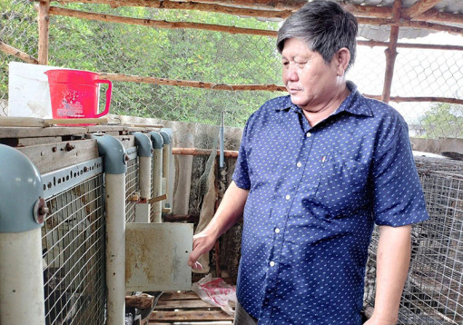 Nhức nhói nạn trộm chồn