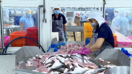 Đầu tư công nghệ chế biến sâu, gia tăng giá trị cho nông sản, thủy sản