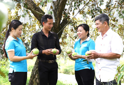 Phát huy vai trò phụ nữ trong xây dựng kinh tế tập thể