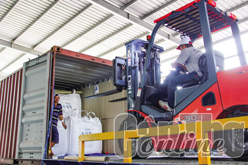 Số doanh nghiệp thành lập mới tăng trở lại