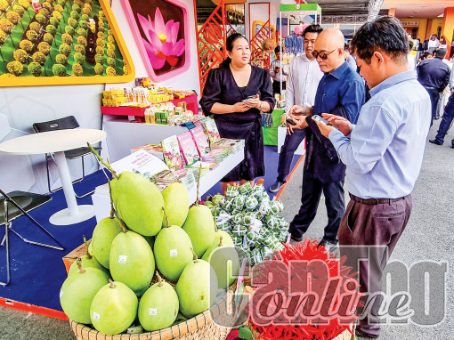 Để phát triển bền vững ngành hàng xoài