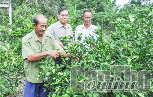 Nhơn Nghĩa chuyển mình