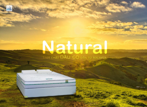 Nệm dầu cọ thiên nhiên – Chất liệu hướng đến cuộc sống xanh