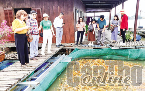 Nhận diện, bảo tồn bản sắc văn hóa sông nước ÐBSCL