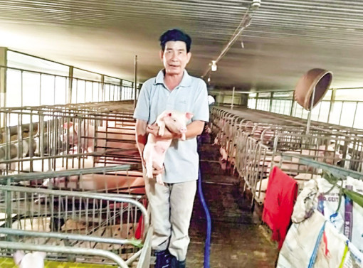 Hướng tới hình thành vùng chăn nuôi an toàn dịch bệnh