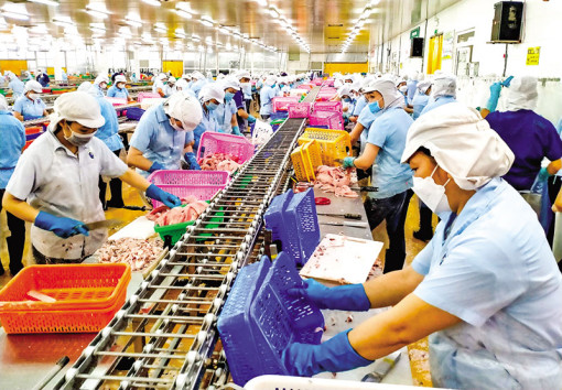 Cấp bách gỡ khó cho xuất khẩu thủy sản