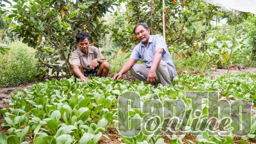 Làm cho dân quý, dân tin