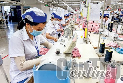 Triển khai Chiến lược phát triển ngành Dệt may và Da giày trên địa bàn thành phố