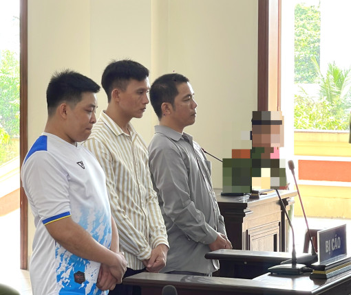 Hối hận muộn màng   