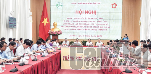 Rà soát, đánh giá, đưa ra giải pháp cải thiện, nâng chất chỉ số PAR INDEX, PAPI, PCI và SIPAS