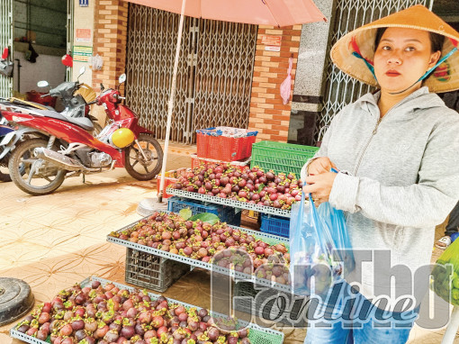 Đa dạng các kênh tiêu thụ cho trái măng cụt