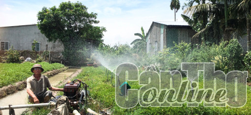 Nông dân phát huy hiệu quả vốn vay ưu đãi