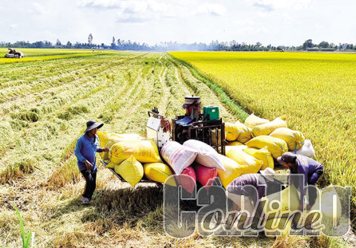 Nâng cao hiệu quả sản xuất nông nghiệp