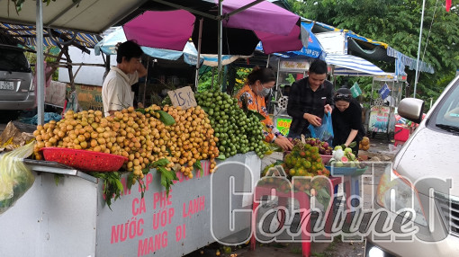 Cần Thơ vào mùa trái cây