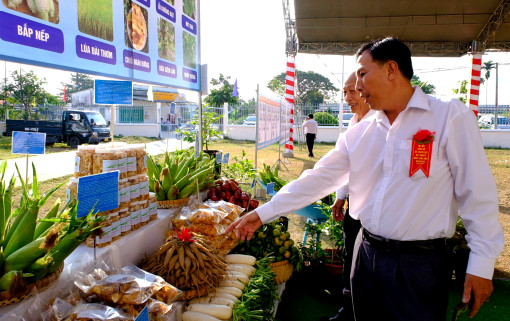 Phát triển sản phẩm OCOP đảm bảo cả lượng và chất