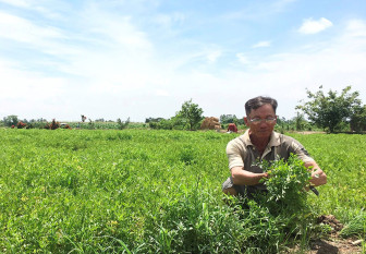 Khấm khá nhờ cần lao