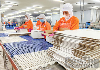 Các khu công nghiệp Cần Thơ thu hút 1,866 tỉ USD vốn đầu tư