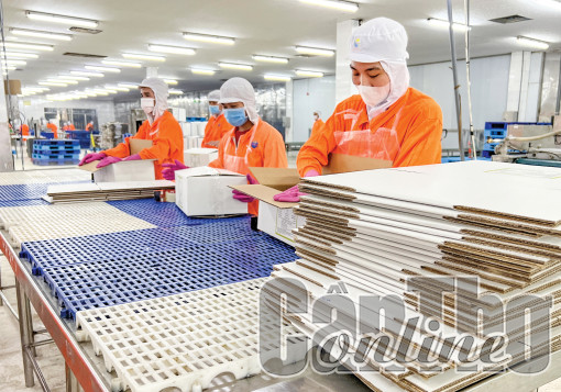 Các khu công nghiệp Cần Thơ thu hút 1,866 tỉ USD vốn đầu tư