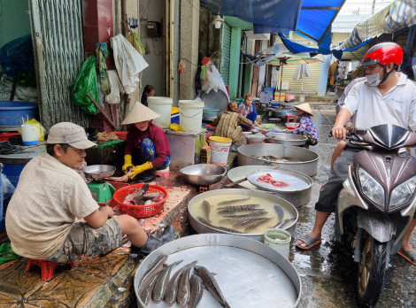 Nhiều loại cá nuôi bán được giá