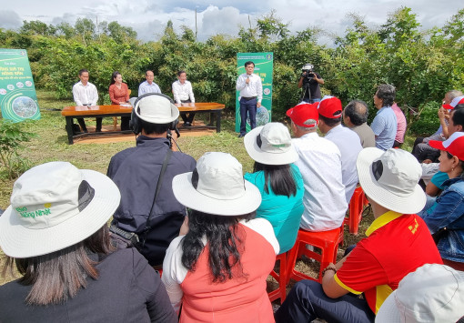 Liên kết trong sản xuất, chế biến và tiêu thụ để tăng giá trị chuỗi nông sản