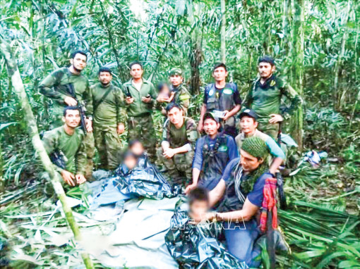 Tìm thấy 4 trẻ em sống sót sau 40 ngày lạc trong rừng Amazon