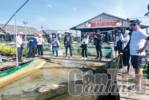 Tích hợp đa giá trị trong phát triển nông nghiệp đô thị