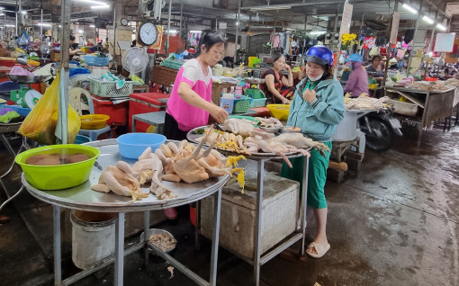 Giá vịt thịt ở mức thấp