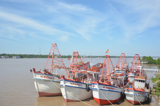 Va chạm với sà lan, một ngư dân rơi xuống biển tử vong