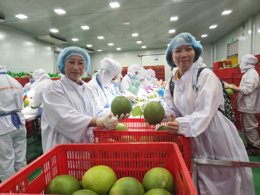 Báo chí TP Cần Thơ nỗ lực đổi mới, đáp ứng yêu cầu hội nhập và phát triển