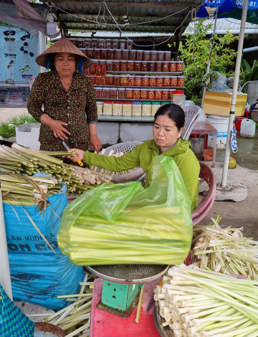 Giá bồn bồn tăng